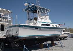 Albin 32 for sale01