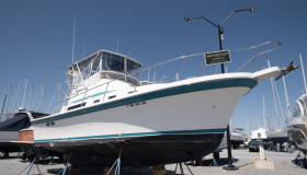 Albin 32 for sale02 Albin 32 for sale02